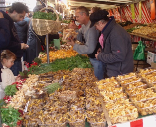 Mushroom Vendor at the Sunday Market.